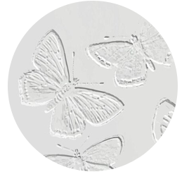 Relieve seco (gofrado)